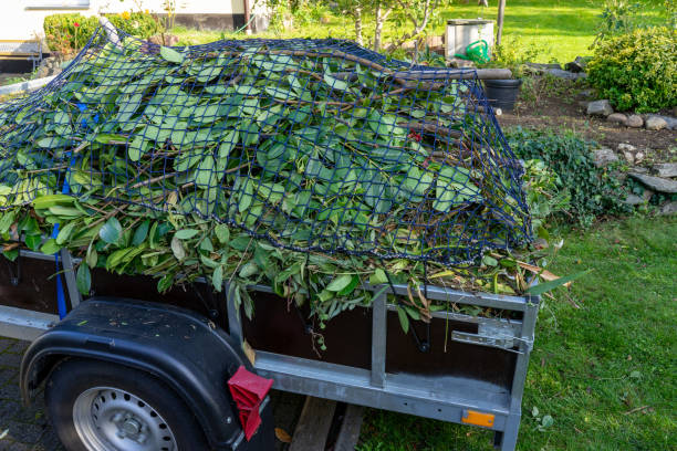 Best Residential Junk Removal  in Fannett, TX